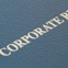 Florida Corporate Laws - A corporate book