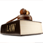Florida Civil Rights Laws - Gavel on law text